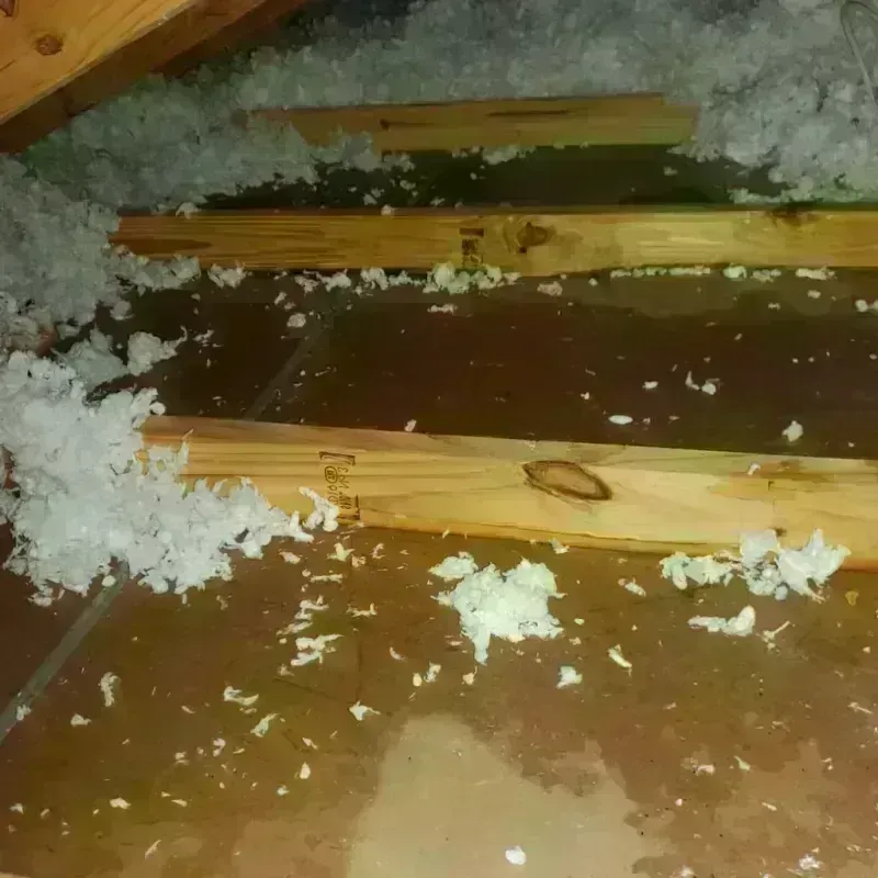 Attic Water Damage in East Foothills, CA