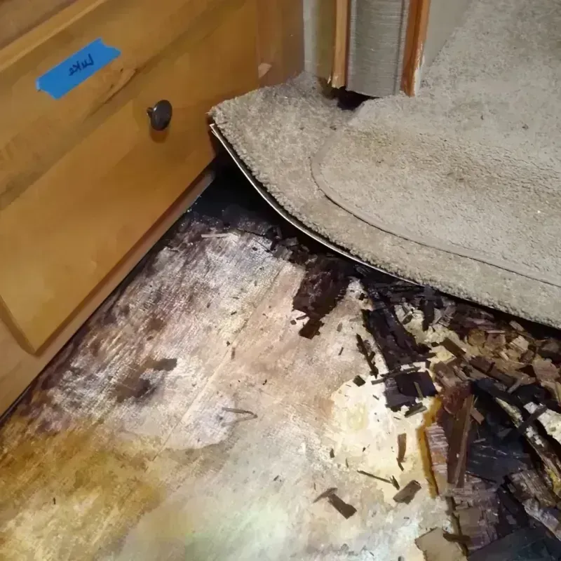 Best Wood Floor Water Damage Service in East Foothills, CA